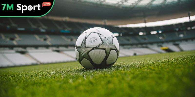 Bảng xếp hạng - Hướng dẫn xem chi tiết cùng chuyên gia 7M